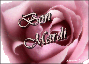 gif mardi
